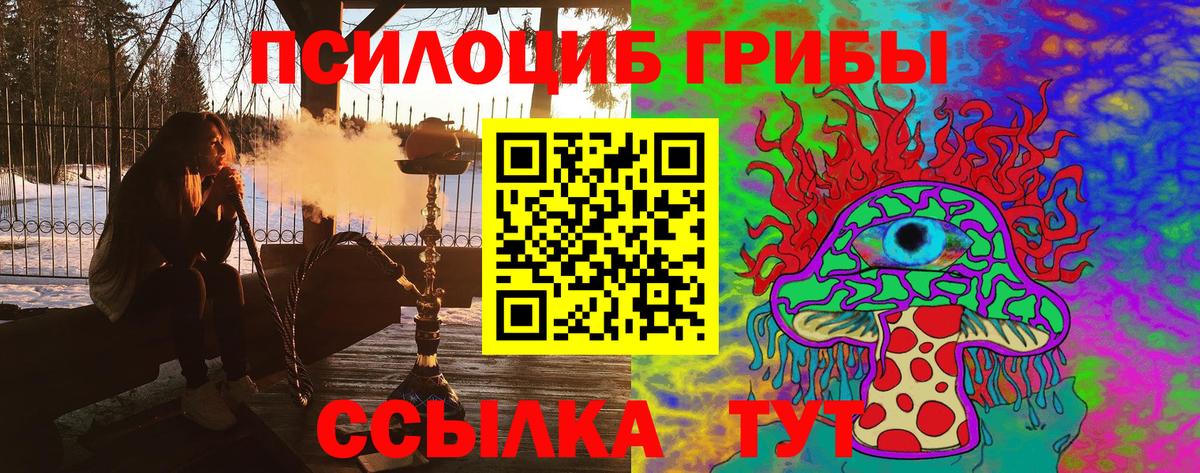 Хабаровск  Псилоцибиновые грибы мухоморы  Вход с VPN  Галлюциногенные грибы мицелий 